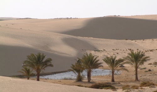 OVERLAND TO CAIRO (GAZA-SINAI-EGYPT 1982)